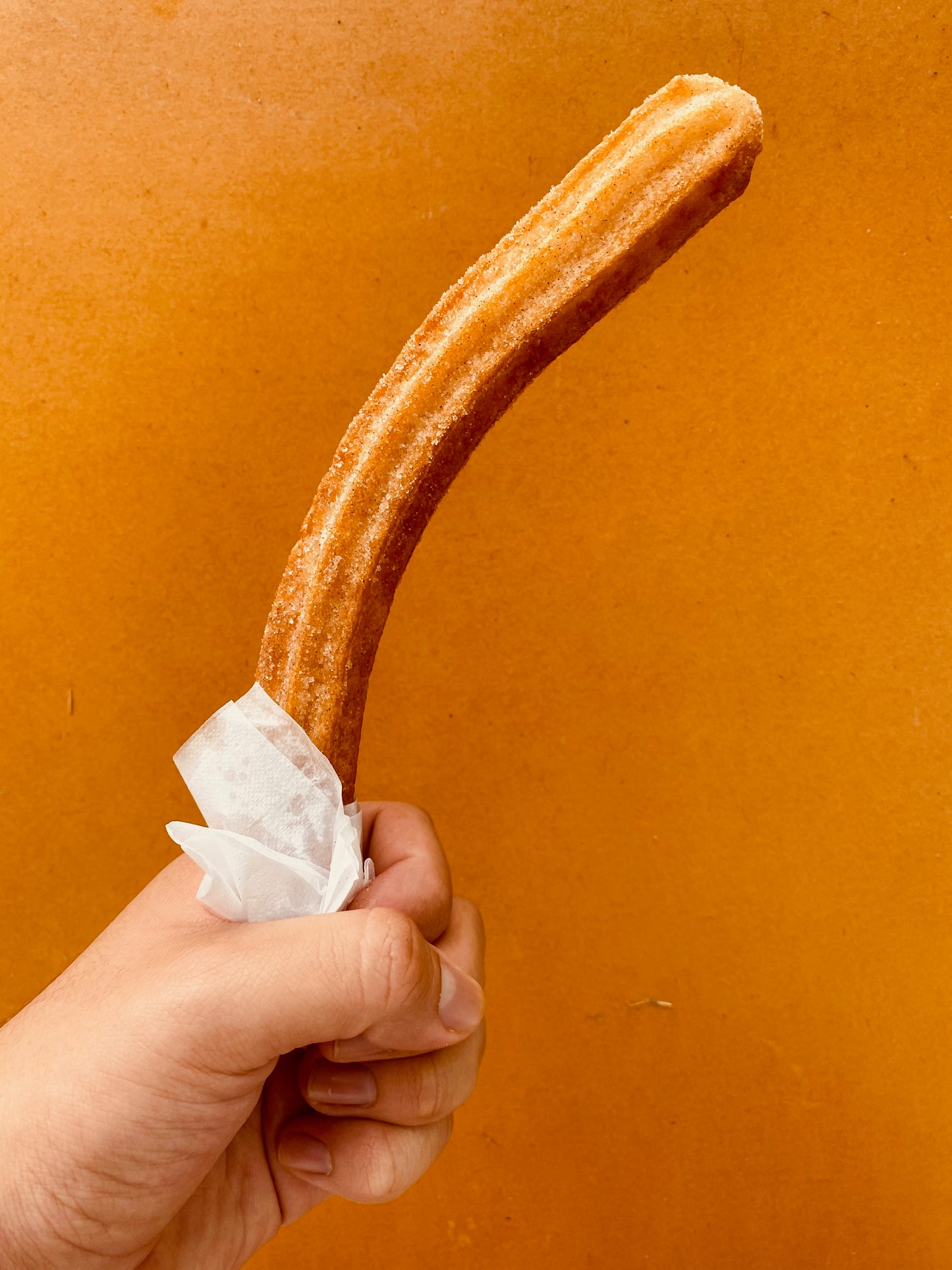 #1 Single Churro Rolled with Cinnamon & Sugar