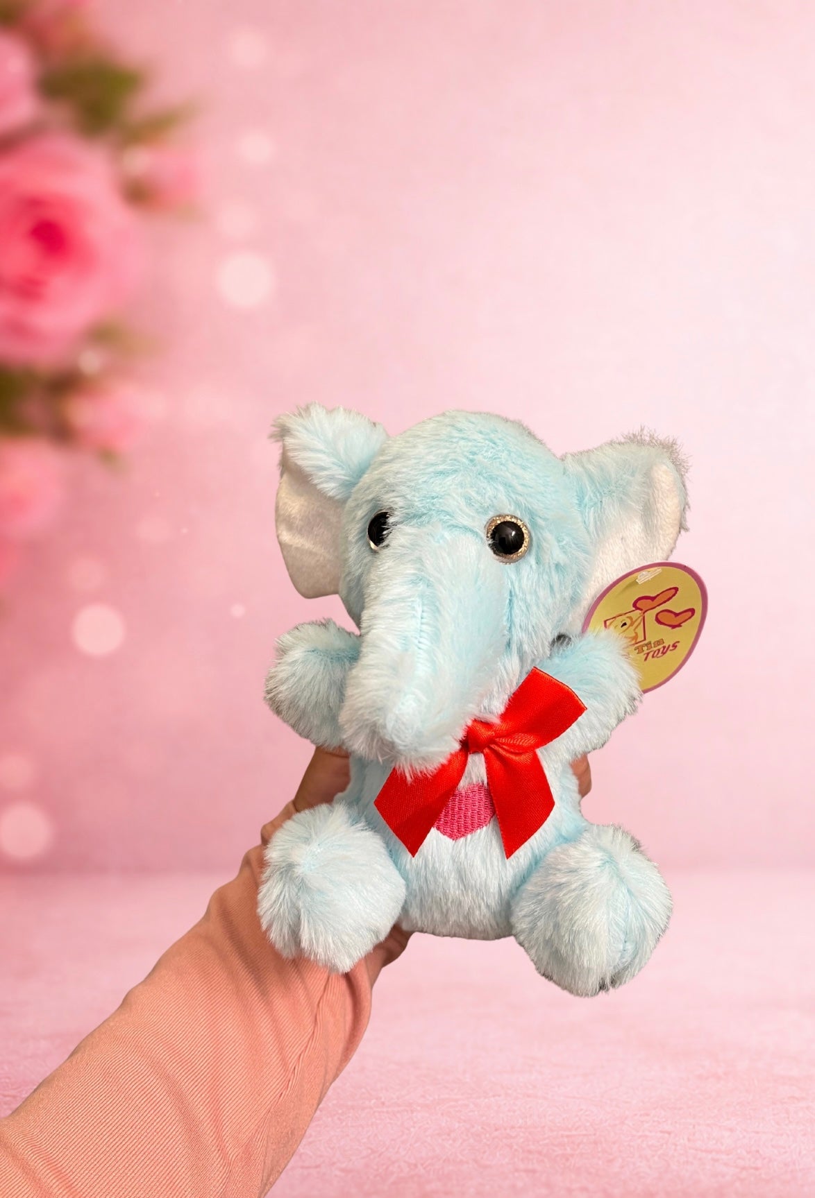 #3 Valentine's Special + Small Teddy
